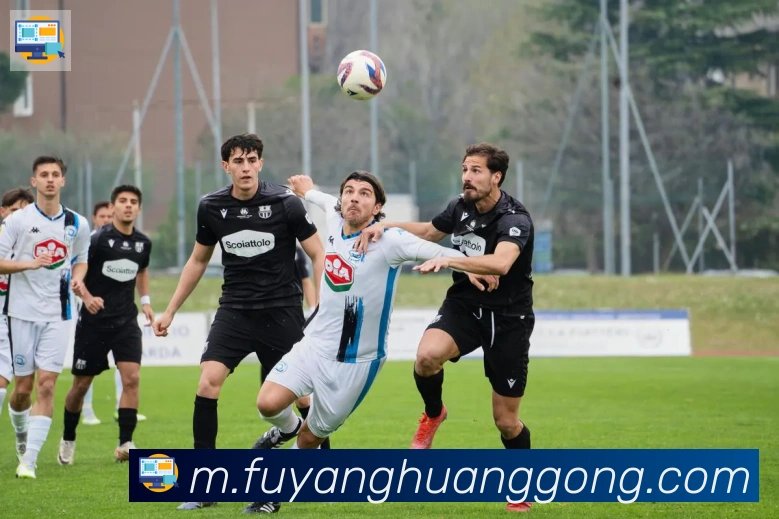 华体会在线官网服务体系