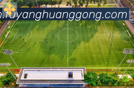 App Interface Preview