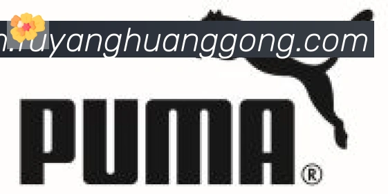 华体会在线官网合作伙伴